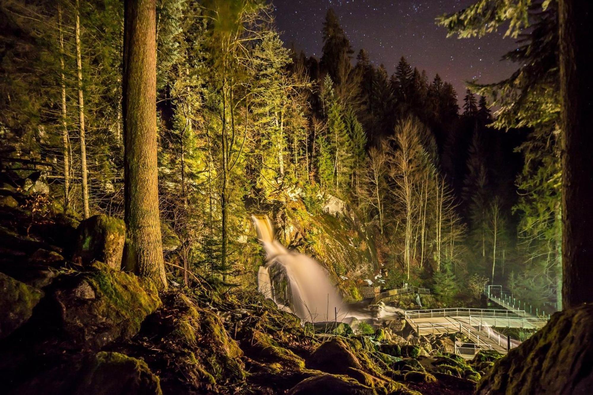 Ferienhaus Am Roesslewald Breitnau Exterior foto